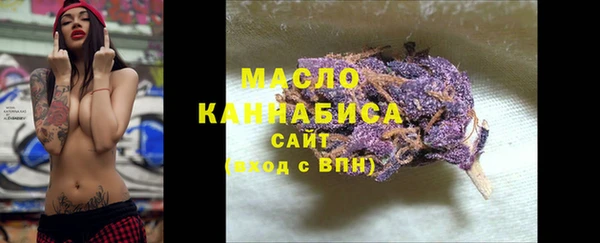 прущая мука Вяземский
