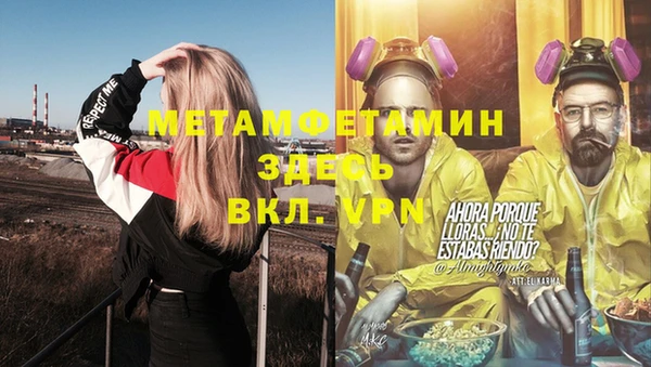 прущая мука Вяземский