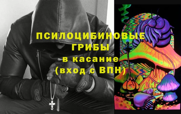 стаф Горнозаводск