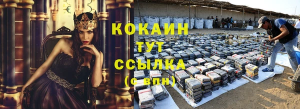 прущая мука Вяземский