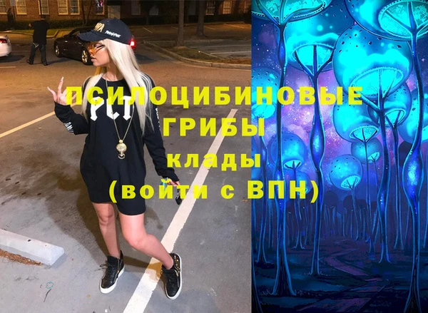 прущая мука Вяземский