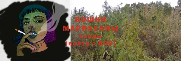 mdpv Горно-Алтайск